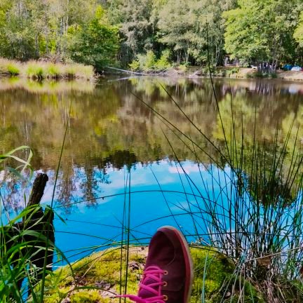 zabel21's profile picture. 