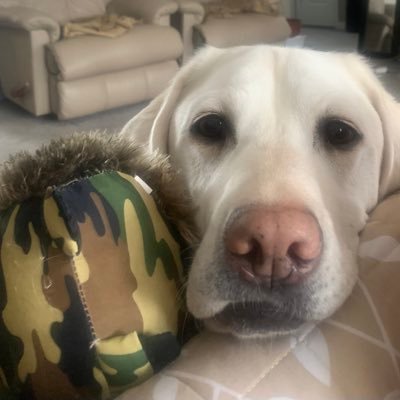 BrendaRaaen's profile picture. 