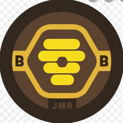 Unofficial account for three JMR team Bumblebees. #BumbleRumble