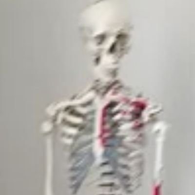 50_jom's profile picture. coban jom pèrrrrrr