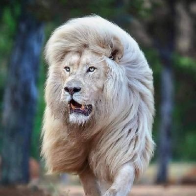 لا تطمح أن تكون أفضل من الاخرين !
ولكن اطمح أن تكون أفضل من نفسك سابقًا ..