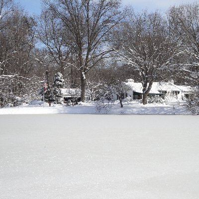 Ricksterva's profile picture. 