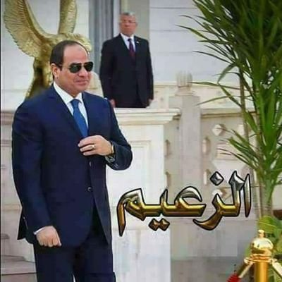 RLamy6Ngm3nJKIt's profile picture. 