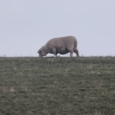 brballen66's profile picture.