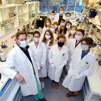 Sarry Lab (@jeansarry) 's Twitter Profile