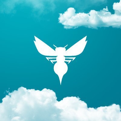 HornetsCha's profile picture. @commvt student covering the @hornets for @JMC_2074 | Not affiliated with the team | When We Fly, #AllFly | My Account @nickbrown33