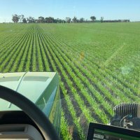 Kurtis Schodde (@kurtisschodde) 's Twitter Profile Photo