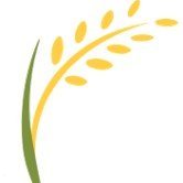 Plant Biotechnology & Breeding Network (@plantbb_ipbo) 's Twitter Profile