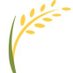 Plant Biotechnology & Breeding Network (@plantbb_ipbo) Twitter profile photo