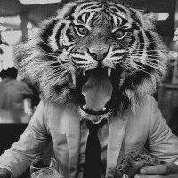Der Tiger von Neubau (@berg_ruft) 's Twitter Profile Photo Der Tiger von Neubau (@berg_ruft) 's Twitter Profile Photo