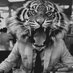 Der Tiger von Neubau (@berg_ruft) Twitter profile photo Der Tiger von Neubau (@berg_ruft) Twitter profile photo