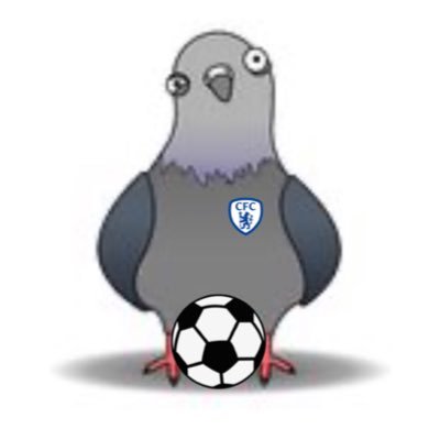 FPL_Pigeon Profile Picture