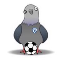 FPL Pigeon (Tommy)(@FPL_Pigeon) 's Twitter Profile Photo
