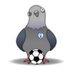 FPL Pigeon (Tommy) (@fpl_pigeon) Twitter profile photo FPL Pigeon (Tommy) (@fpl_pigeon) Twitter profile photo