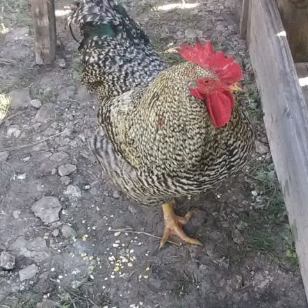 Stephen48614696's profile picture. 