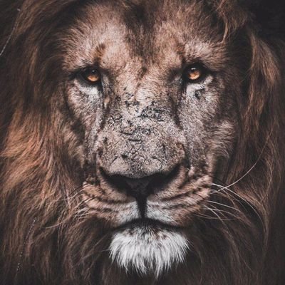 TauTona012's profile picture. Good people. Good Vibe. Happy life