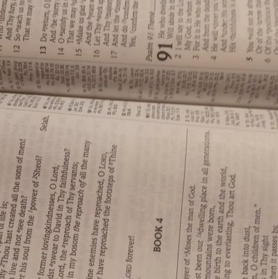 ScottPe45628825's profile picture. 