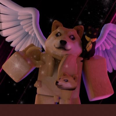 idk I’m just here I guess 🤷🏻♂️ Single 💔 DOGE NEVER DIES!!