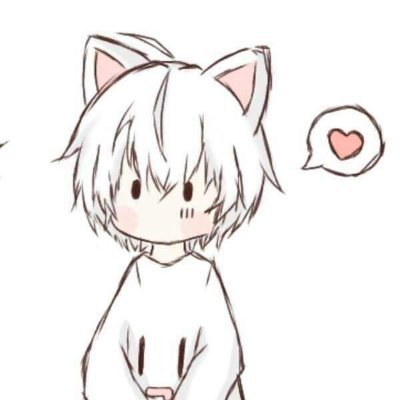 白さんのプロフィール画像