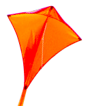 familykite's profile picture. 