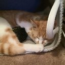 Henry Bean - @SaraHeidel - Twitter