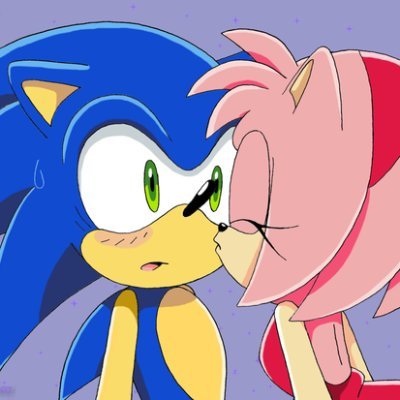 fan of sonic and amy squad