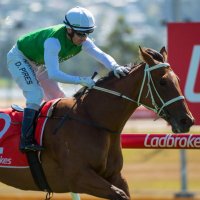Alva Stud (@alvastud) 's Twitter Profile Photo Alva Stud (@alvastud) 's Twitter Profile Photo