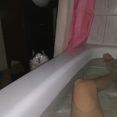 thisismadr's profile picture. 