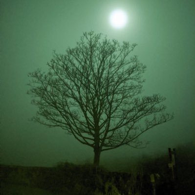 dvazqueza's profile picture. “The saddest aspect of life right now is that science gathers knowledge faster than society gathers wisdom” Isaac Asimov