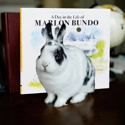 The Marlon Bundo, previous #BOTUS, and loving son to @Mike_Pence & Mother. Just some bunny trying to avoid having to go to conversion therapy. #ParodyAccount