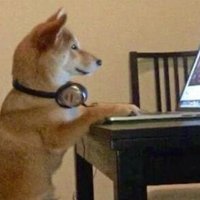 tuancc (@tuancc4) 's Twitter Profile
