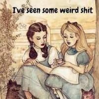 obrien1410's profile picture. this shit won’t fly