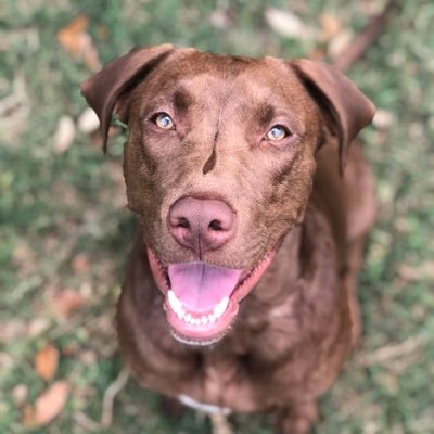 mr_pakmann's profile picture. 