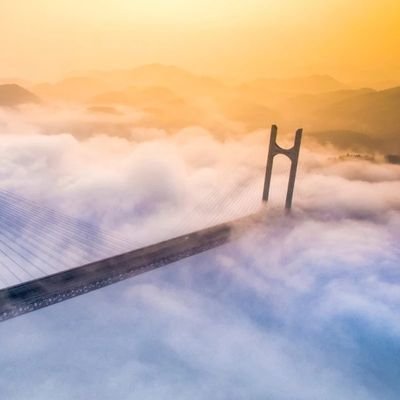 Y48694752's profile picture. 