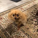 Jesse - @JesseGaribay19 - Twitter