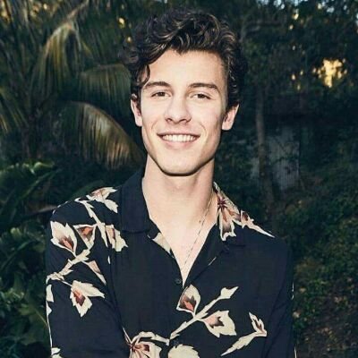 Mi vida se la dedico a Shawn Mendes