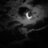 Rabia52113159's profile image