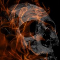 The Cage In Your Head (@cage_your) 's Twitter Profile