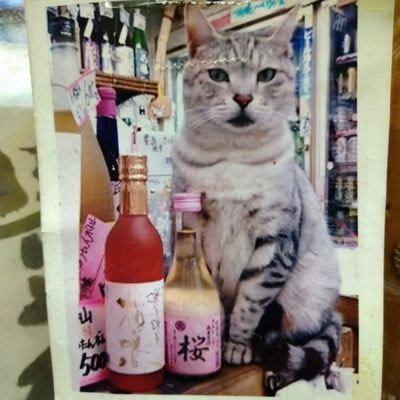 【営業11:00頃-20:30・水曜休】
【開店は問屋納品等で遅れる事あり】
創業昭和７年。
地下鉄弘明寺駅からすぐの酒店。
ご質問等は店長のヨメ（@tenchonoyome）
または店長（＠BakuchuKigan）へどうぞ。 
アイコンはルル名誉店長。
2代目ねこ店長おはぎ2023.5就任