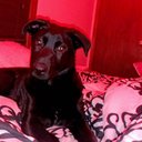 Kay Hammer - @kay_hammer05 - Twitter