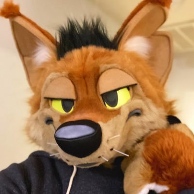howdy i’m garbanzo. 29. jackal. old photography at @DonutDogPhotos. he/him. prev asyx. banner by @vetiver_n 🔞 🥚= @ketomarten