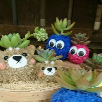 mocachyocoto's profile picture. ディスコ沼に堕ちてもがいて、もはや呼吸困難だ。。。