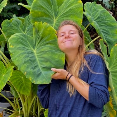 Coral Tech on contract for State of Hawai’i DAR | also likes surfing | views my own |(she/her)