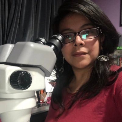 Biologist, arachnologist. Specialist in spiders and systematics. PhD candidate in Biological Sciences. Vice-president of Foro Estudiantil de Arácnidos de México