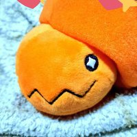 三🔞 (@san_1241) 's Twitter Profile Photo 三🔞 (@san_1241) 's Twitter Profile Photo