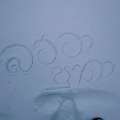 udarachamara25's profile picture. Nothing special