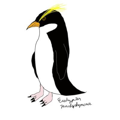 ともさんのプロフィール画像