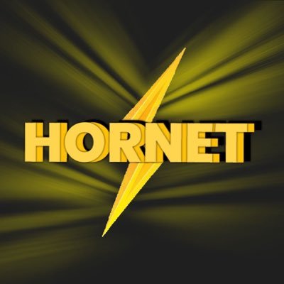 aka. hornet (Currently Offline Twitter)