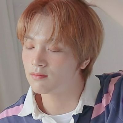 una sunflower que vive en haechan supremacia

           ➴ ➵ ➶ ➷ ➸  me kiero besuquear a las sunflowers😔