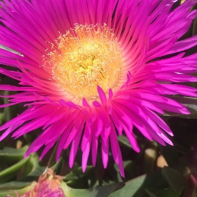 laurenepauw's profile picture. life-lover / multipassionate entrepeneur / angels / dance / food / friends / crazy / enthusiastic / positive